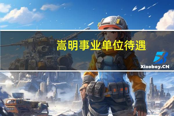 嵩明事业单位待遇