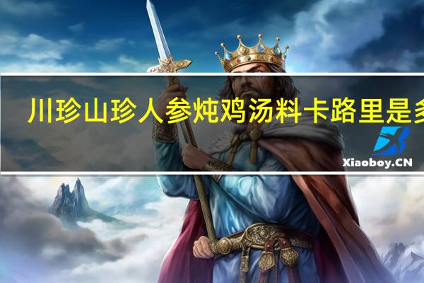 川珍 山珍人参炖鸡汤料卡路里是多少