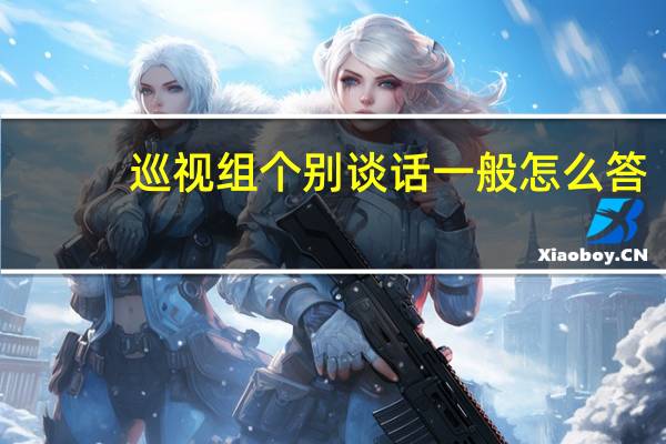 巡视组个别谈话一般怎么答（巡视组谈话回答技巧）
