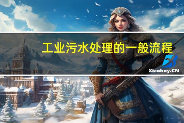 工业污水处理的一般流程（工业污水处理工艺流程）