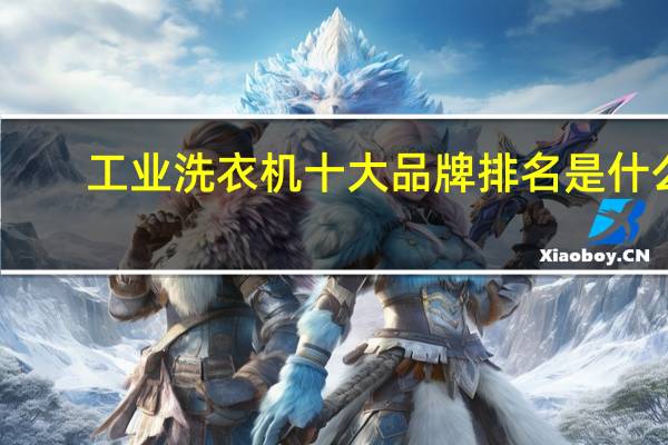 工业洗衣机十大品牌排名是什么