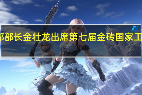 工信部部长金壮龙出席第七届金砖国家工业部长会议