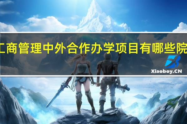 工商管理中外合作办学项目有哪些院校招生