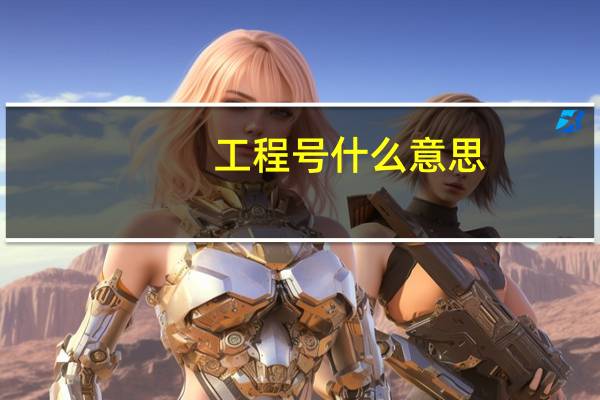 工程号什么意思