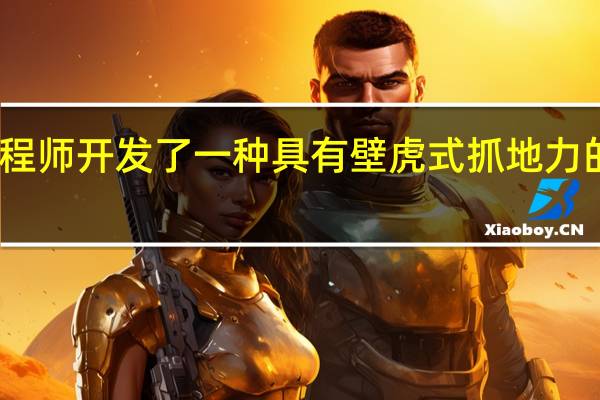 工程师开发了一种具有壁虎式抓地力的机械手