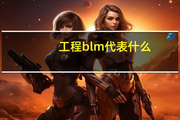 工程blm代表什么