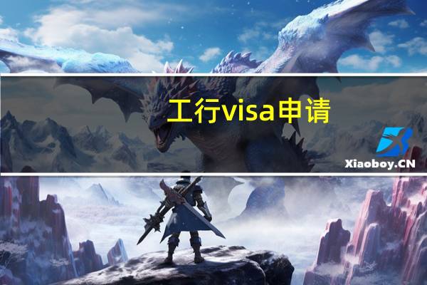 工行visa申请（工行visa申请材料是什么）
