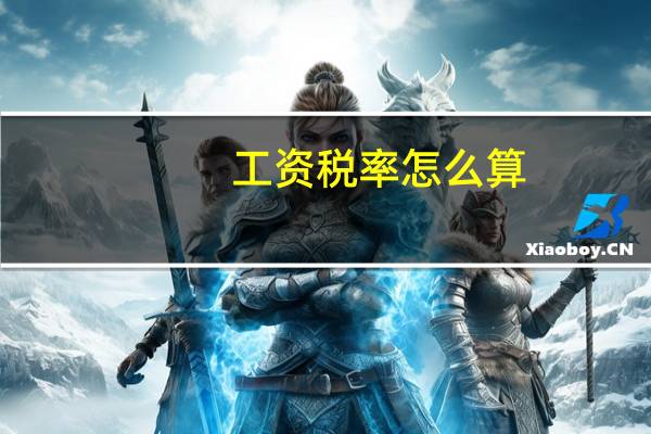 工资税率怎么算（工资税率）