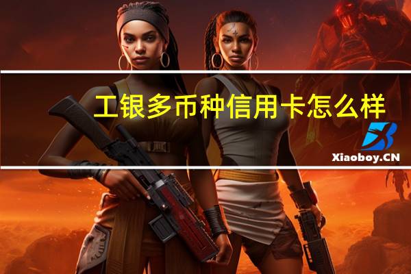 工银多币种信用卡怎么样（工银安邦信用卡是多币种吗）