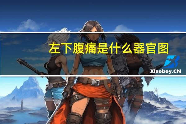 左下腹痛是什么器官图（左下腹痛是什么器官）