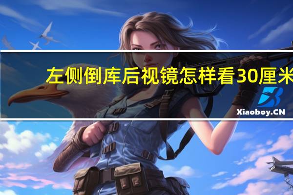 左侧倒库后视镜怎样看30厘米（倒车入库后视镜图解怎么看30公分?）