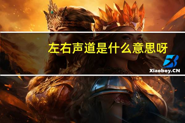 左右声道是什么意思呀（左右声道是什么意思）