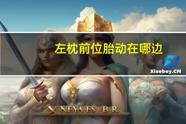 左枕前位胎动在哪边（左枕前位）