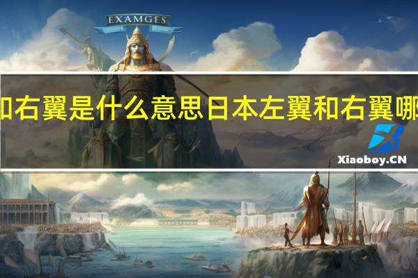 左翼和右翼是什么意思 日本左翼和右翼哪个亲近中国