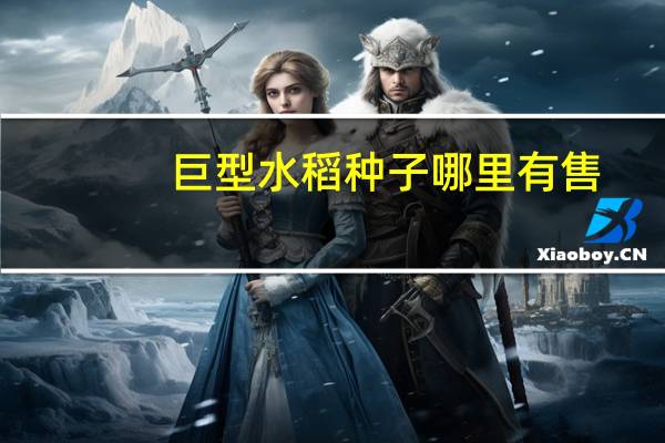巨型水稻种子哪里有售