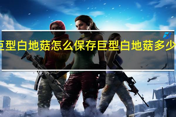 巨型白地菇怎么保存 巨型白地菇多少钱一斤