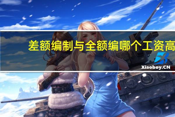 差额编制与全额编哪个工资高