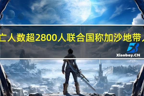 巴以冲突死亡人数超2800人 联合国称加沙地带人道主义状况堪忧