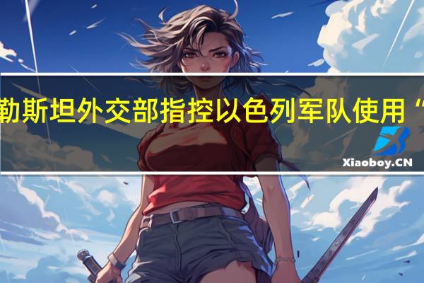 巴勒斯坦外交部指控以色列军队使用“白磷弹”