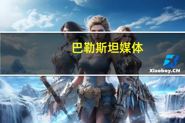 巴勒斯坦媒体:以军16日晚发动的空袭已造成71人死亡