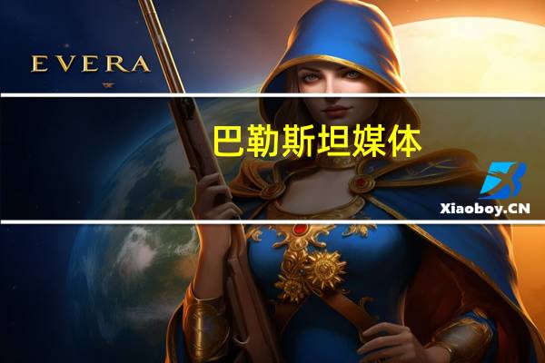 巴勒斯坦媒体：哈马斯再度向以色列发射火箭弹