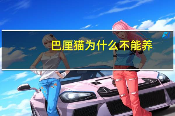 巴厘猫为什么不能养