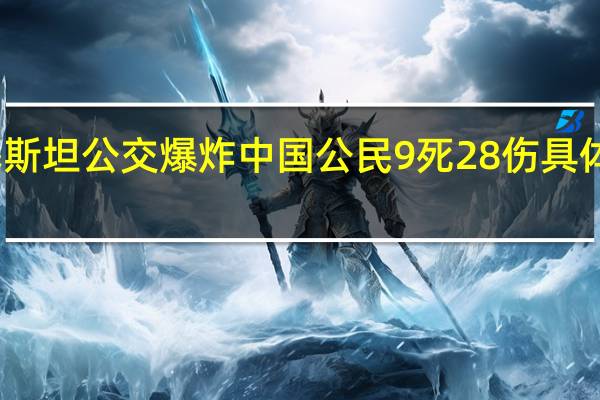 巴基斯坦公交爆炸 中国公民9死28伤 具体什么原因