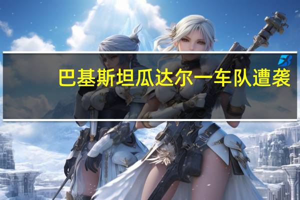 巴基斯坦瓜达尔一车队遭袭