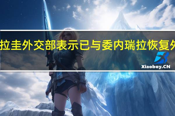 巴拉圭外交部表示已与委内瑞拉恢复外交关系