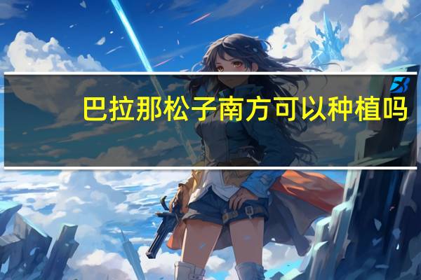 巴拉那松子南方可以种植吗