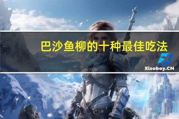 巴沙鱼柳的十种最佳吃法