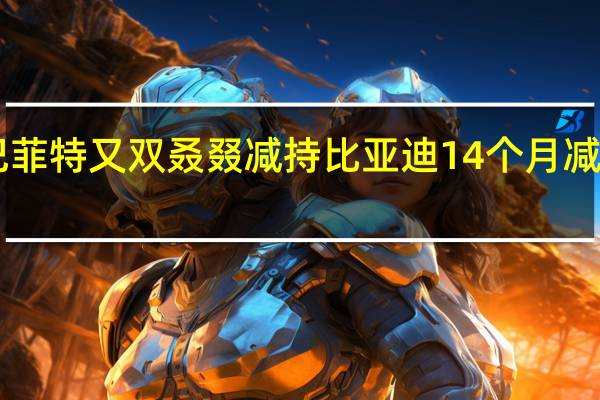 巴菲特又双叒叕减持比亚迪 14个月减持13次