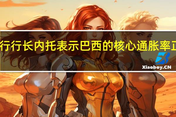 巴西央行行长内托表示巴西的核心通胀率正在大幅下降