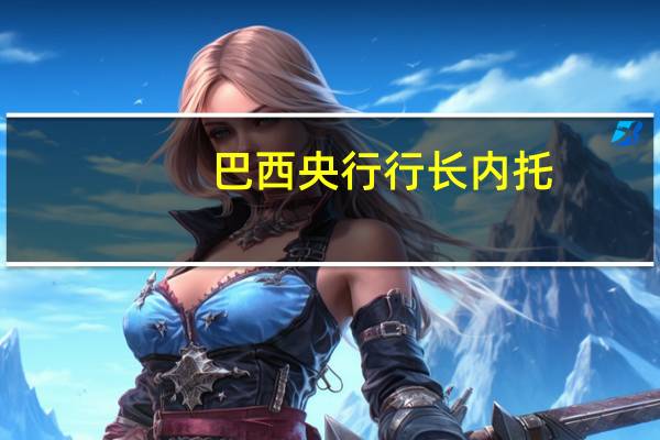 巴西央行行长内托：我甚至支持更高的税收税率应为10%而不是6%