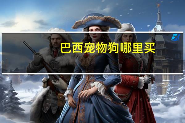巴西宠物狗哪里买