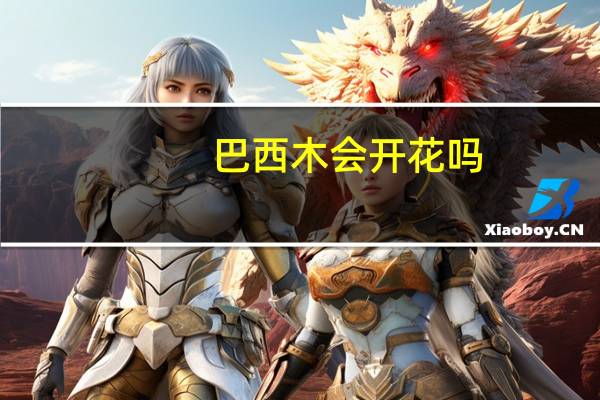 巴西木会开花吗