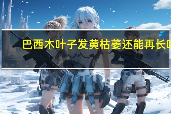 巴西木叶子发黄枯萎还能再长吗