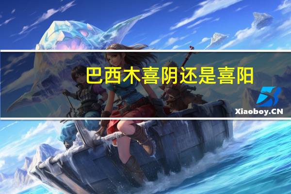 巴西木喜阴还是喜阳