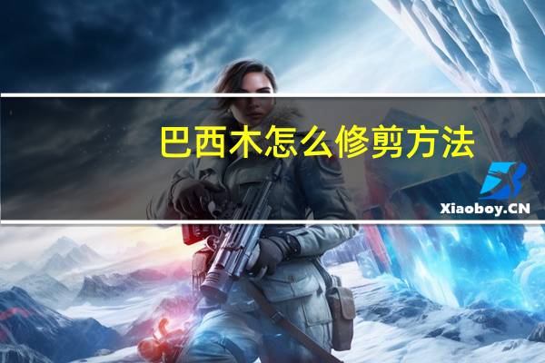 巴西木怎么修剪方法