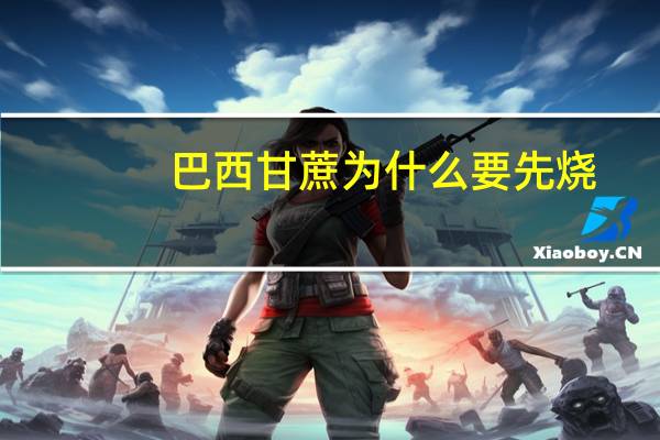 巴西甘蔗为什么要先烧