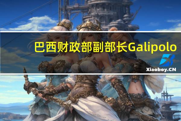 巴西财政部副部长Galipolo：美国经济更具韧性需要更长时间的高利率是当今的一个核心主题