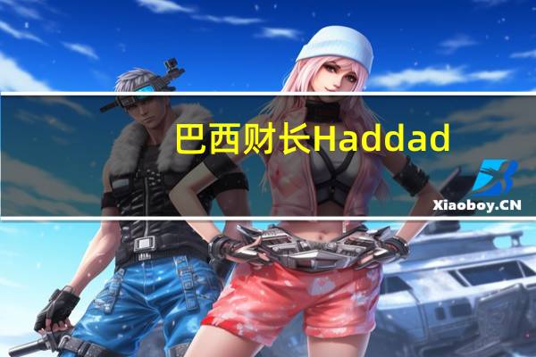 巴西财长Haddad：巴西央行委员会最初将利率下调50个基点的决定是正确的经济已经开始放缓