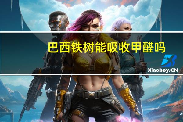 巴西铁树能吸收甲醛吗??