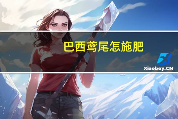 巴西鸢尾怎施肥