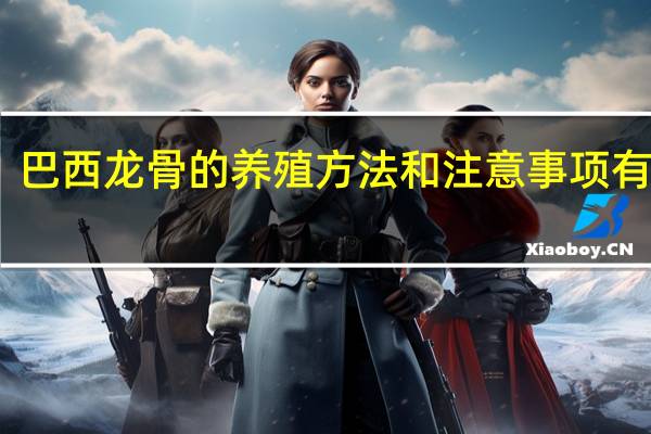 巴西龙骨的养殖方法和注意事项有哪些