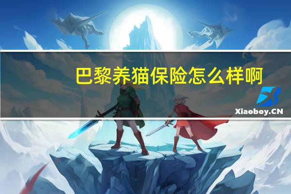 巴黎养猫保险怎么样啊