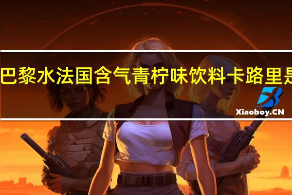 巴黎水 法国含气青柠味饮料卡路里是多少