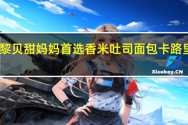巴黎贝甜妈妈首选香米吐司面包卡路里是多少