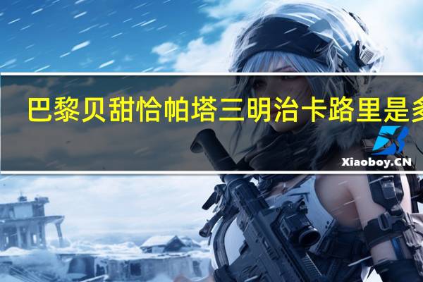 巴黎贝甜 恰帕塔三明治卡路里是多少