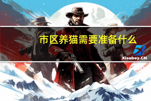 市区养猫需要准备什么